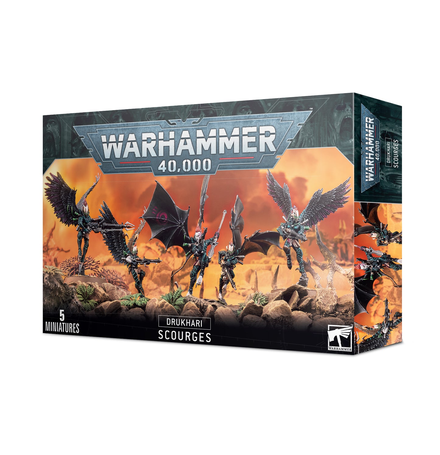 DRUKHARI HARPYIEN (45-16)