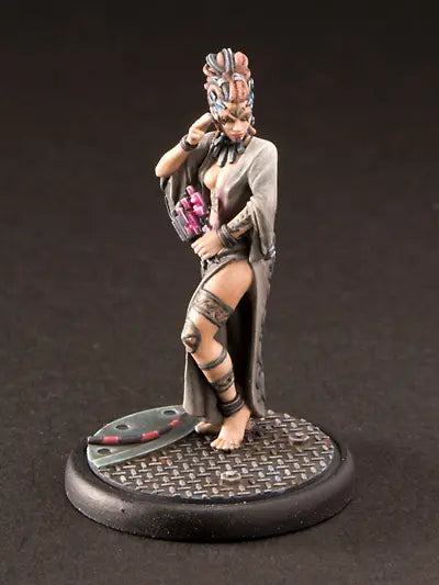 Arvingar Fraktionsstarter Ascending Fate Freebooter Miniatures