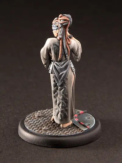 Arvingar Fraktionsstarter Ascending Fate Freebooter Miniatures