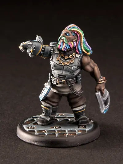 Arvingar Fraktionsstarter Ascending Fate Freebooter Miniatures