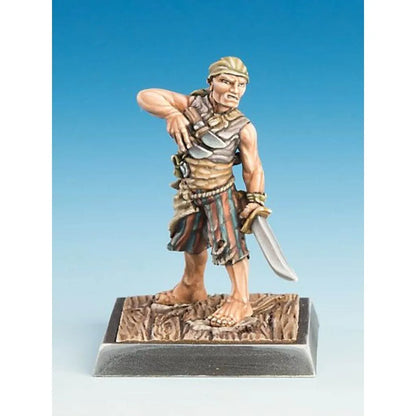 Freebooter's Fate Starterbox Piraten Pirates Zinn