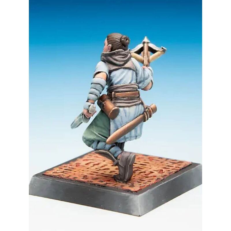 Freebooter's Fate Lien Tianyu