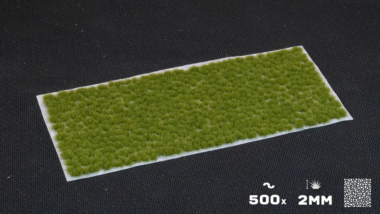 GamersGrass Tiny Tufts Dry Green 2mm - Basing Tufts für Tabletop